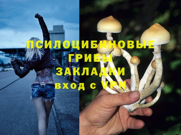 бошки Алексеевка
