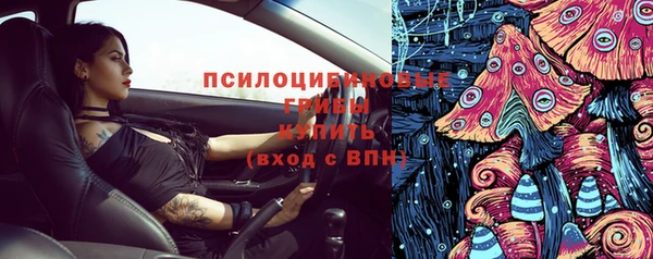 бошки Алексеевка