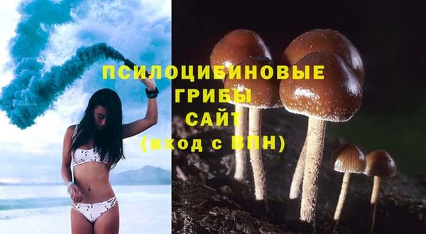 бошки Алексеевка