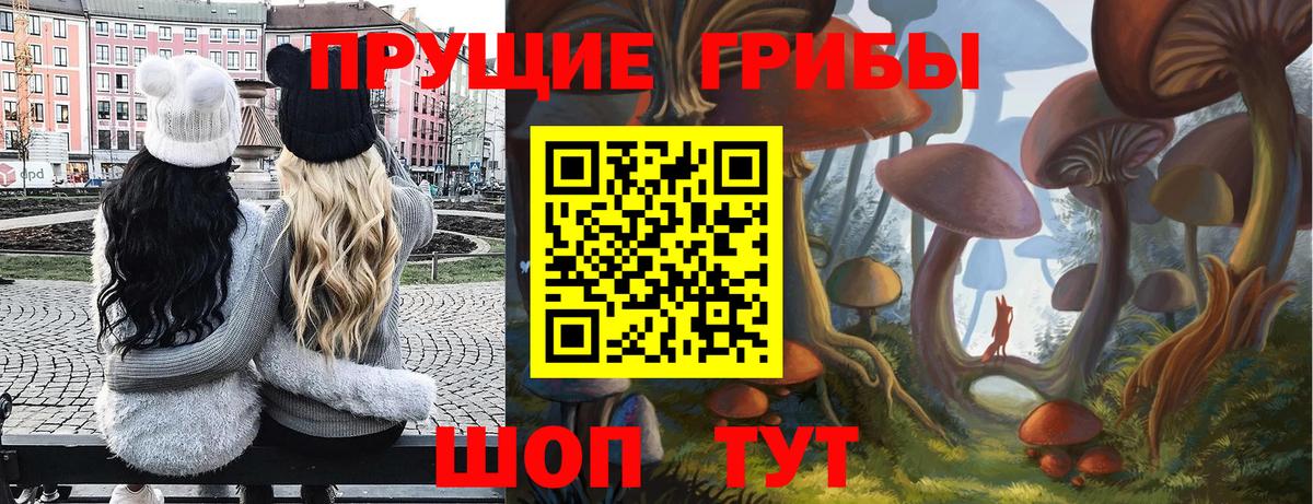 Галлюциногенные грибы Psilocybine cubensis Сарапул