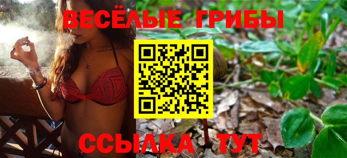 Сарапул  Галлюциногенные грибы мухоморы  Вход с VPN  Псилоцибиновые грибы Magic Shrooms 