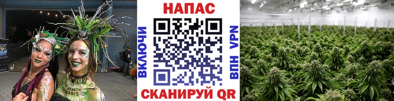 mega ONION  Сарапул  Марихуана White Widow  наркошоп 
